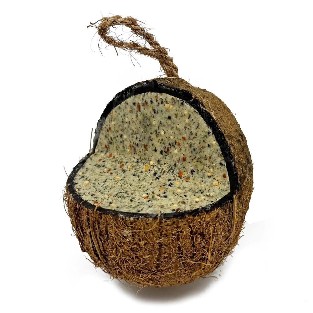 Natures Grub Coconut Feeder 100% Natural Suet Treat for Garden Birds