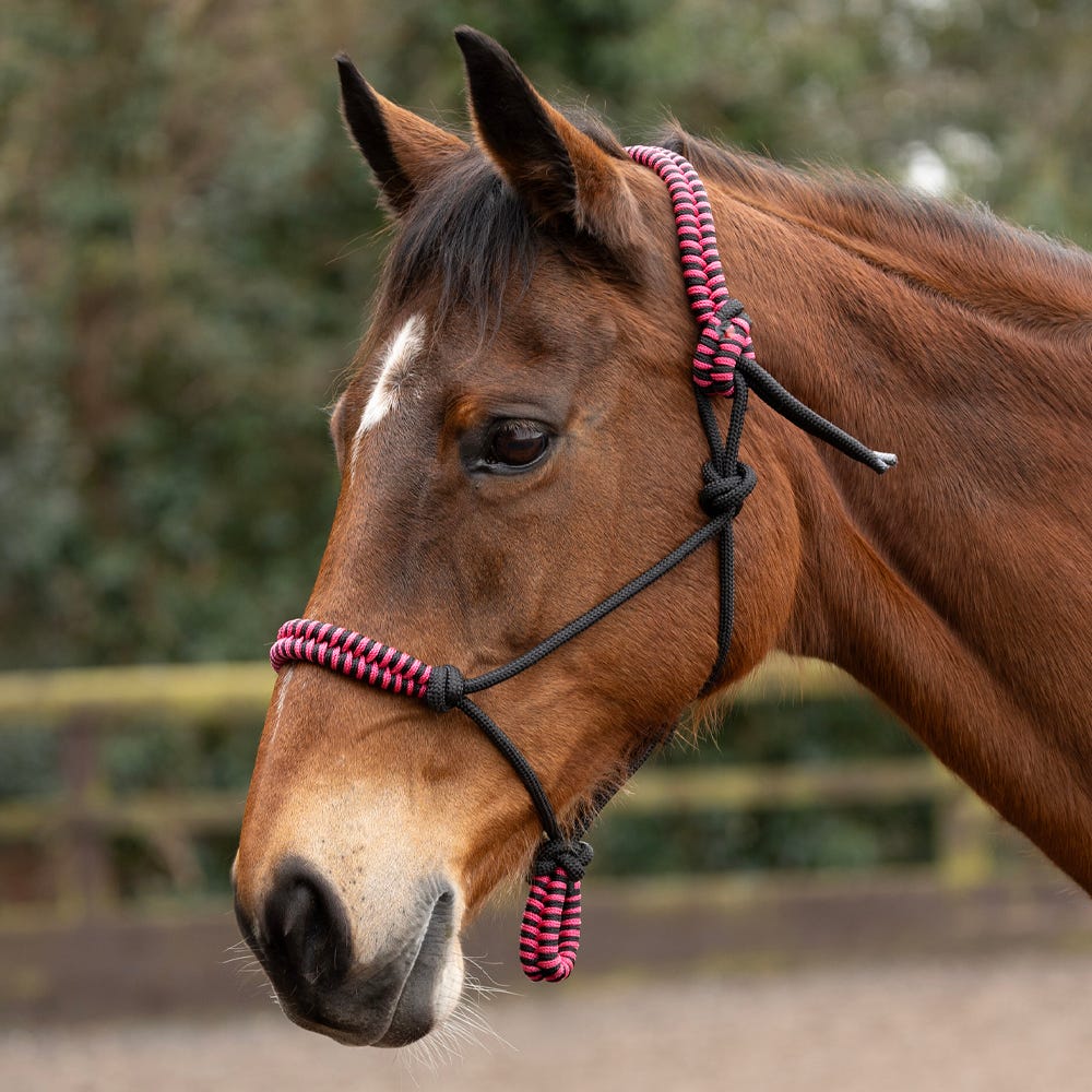 Hy Equestrian Double Braid Rope Halter #colour_pink