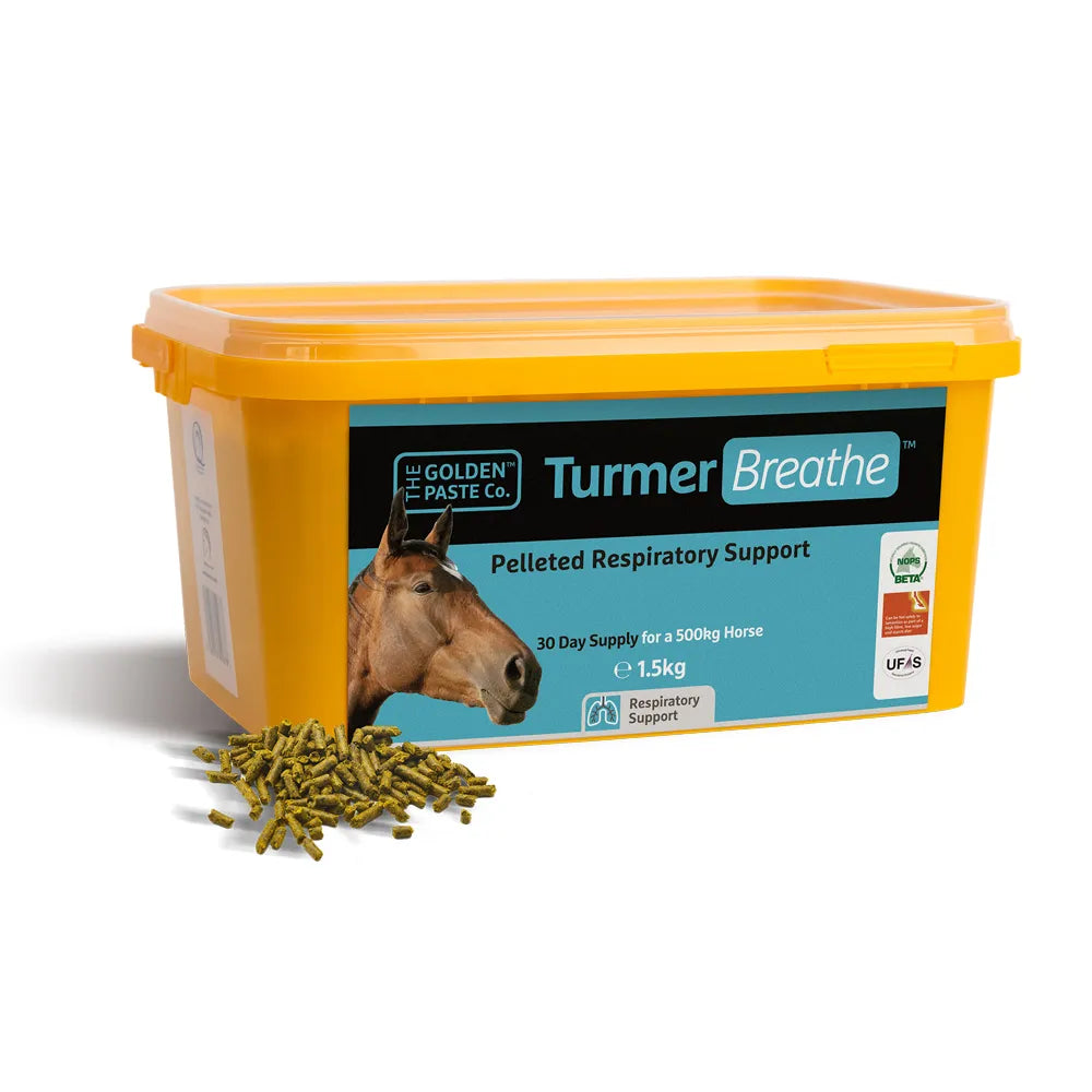 The Golden Paste Company TurmerBreathe Natural Equine Respiratory Support