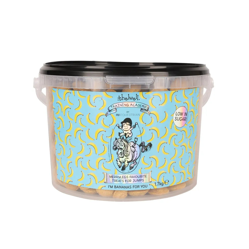 HY Equestrian Thelwell Ponio Banana Chip Cookies Pony Treats Natural
