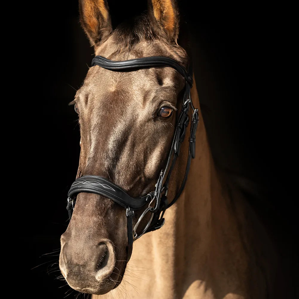 ProPresicce Pelle Drop Leather Bridle by Hy Equestrian #colour_black-silver