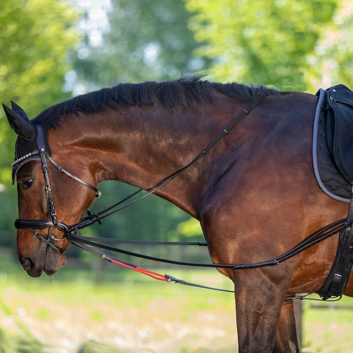 Waldhausen Horse Draw Reins W-Trainrein Wtrainrein Flexible Leather Riding