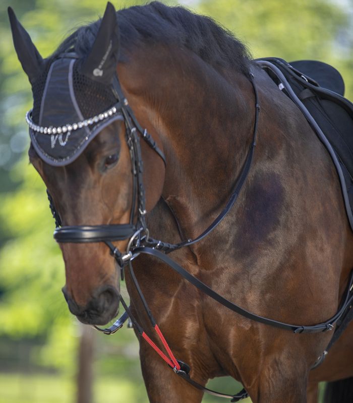 Waldhausen Horse Draw Reins W-Trainrein Wtrainrein Flexible Leather Riding
