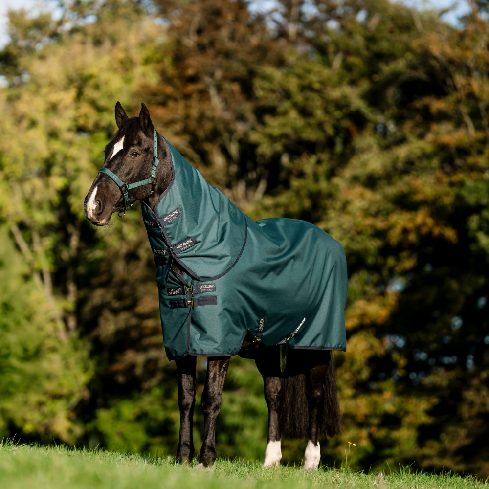 Horseware Ireland Amigo Ripstop 900 Plus 200g #colour_dynasty-green-navy-silver