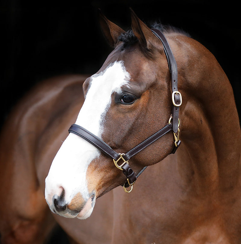 Mackey Legend Helios Leather Headcollar #colour_brown