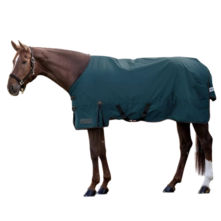 Waldhausen Arctic 100g Turnout Rug #colour_petrol-blue