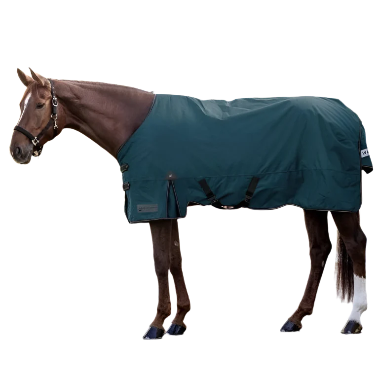 Waldhausen Arctic 50g Turnout Rug #colour_petrol-blue