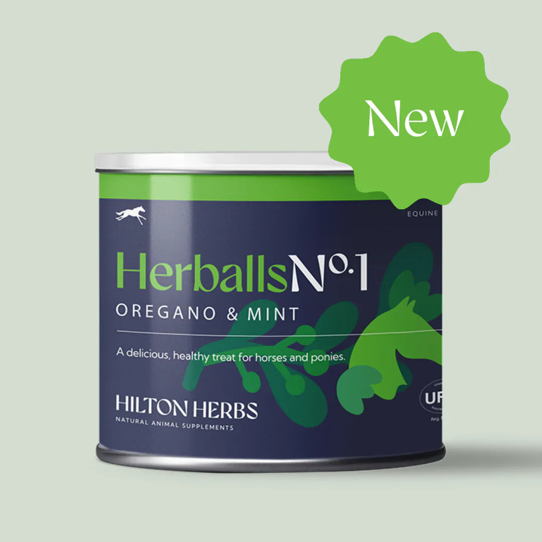 Hilton Herbs Herballs Natural Treats for Horses and Ponies, Low Sugar