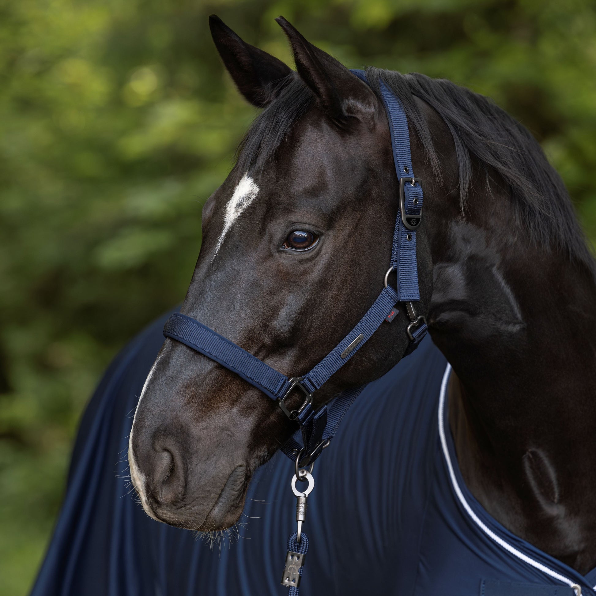 Covalliero Headcollar #colour_dark-navy