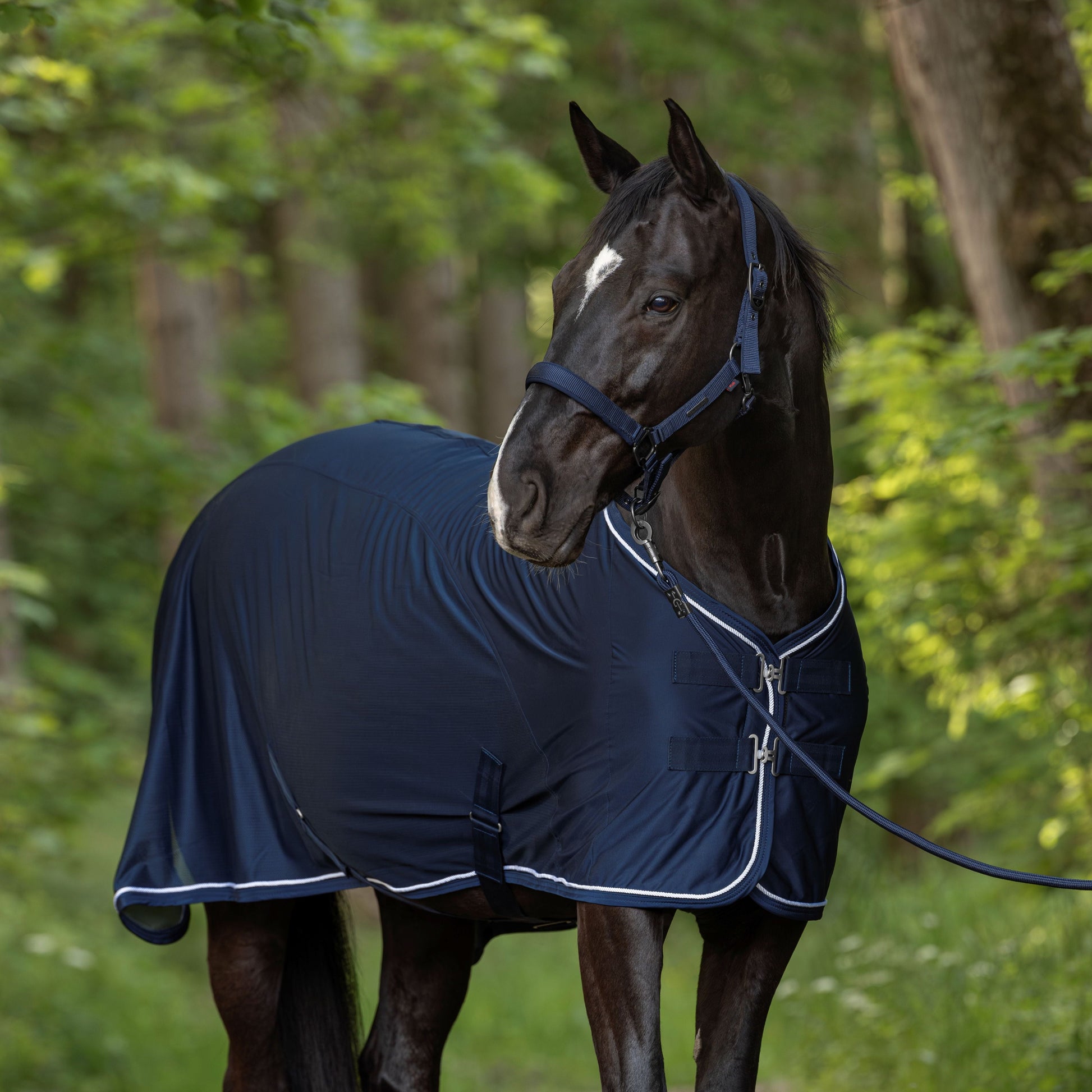 Covalliero Headcollar #colour_dark-navy