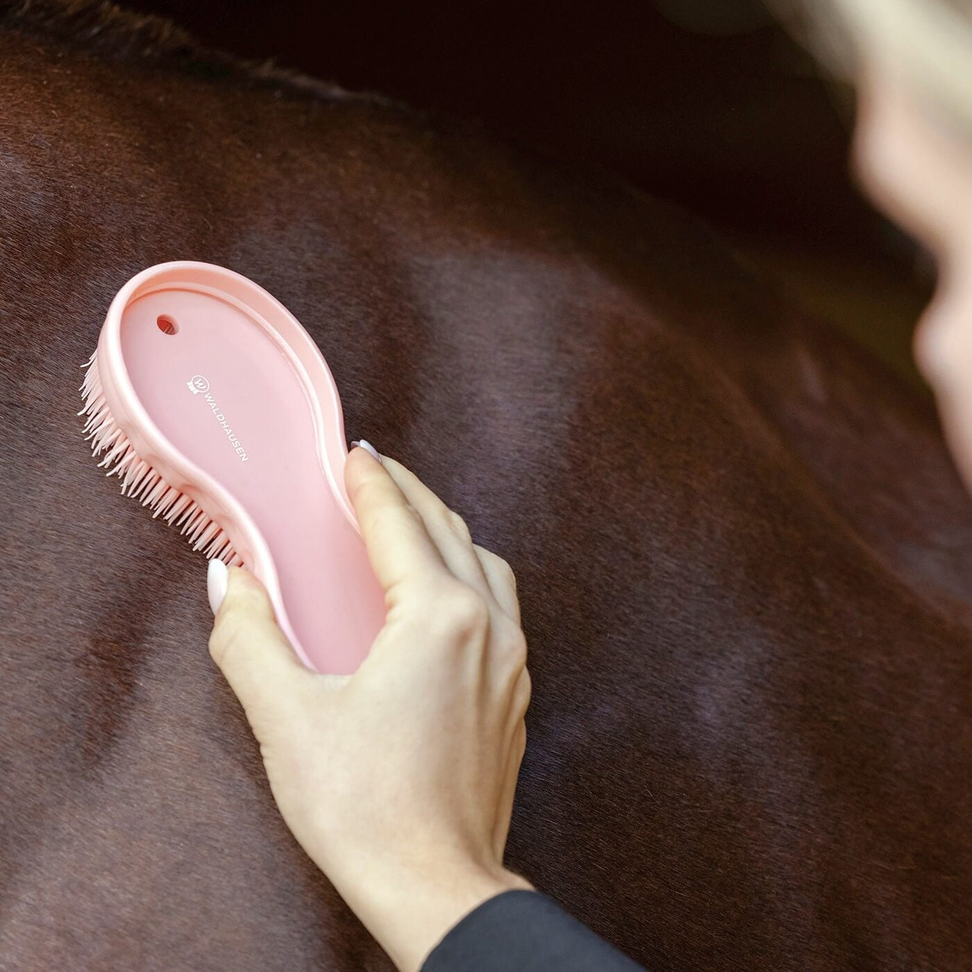 Waldhausen Grooming All In One Brush For Horses Dogs and Equipment Care
