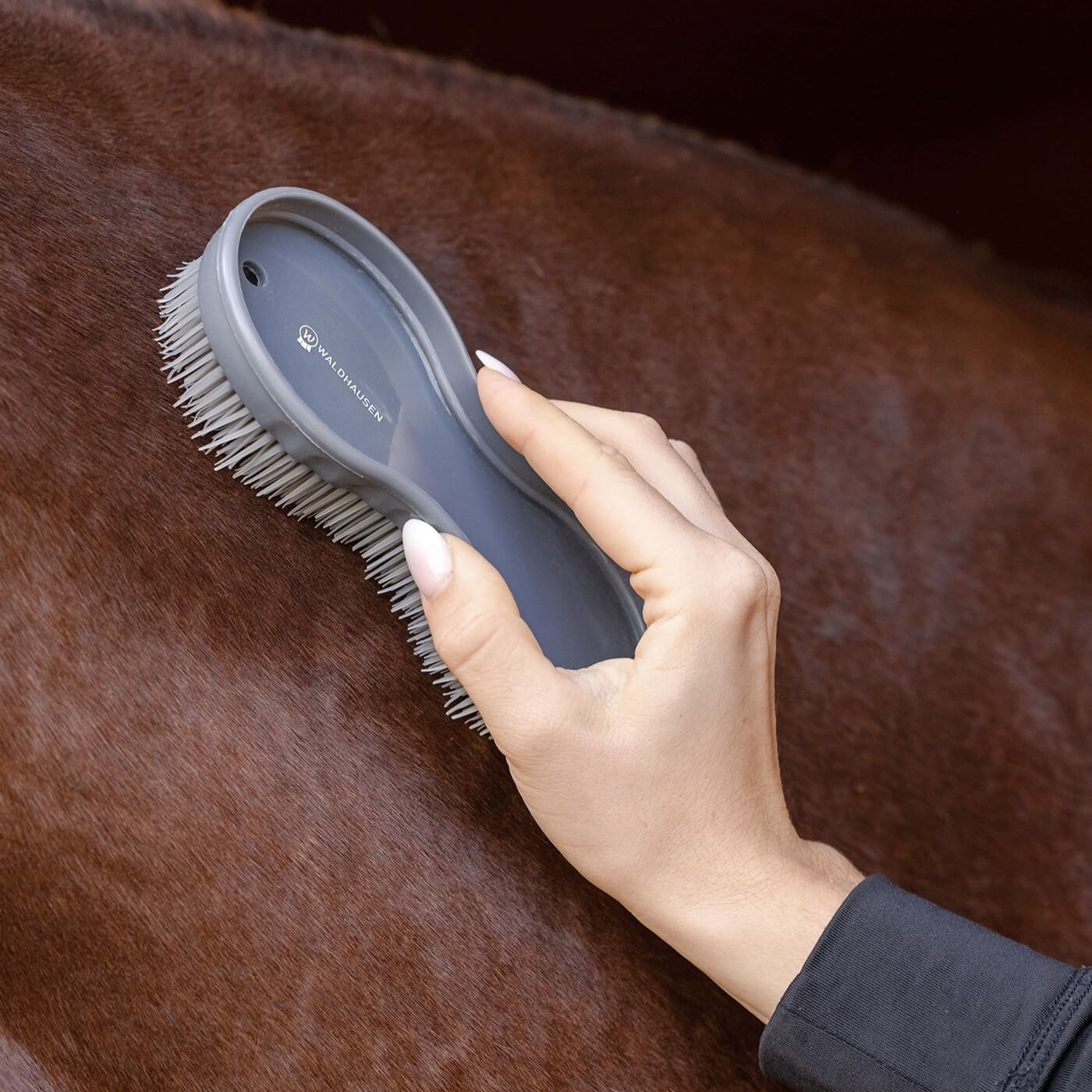Waldhausen Grooming All In One Brush For Horses Dogs and Equipment Care