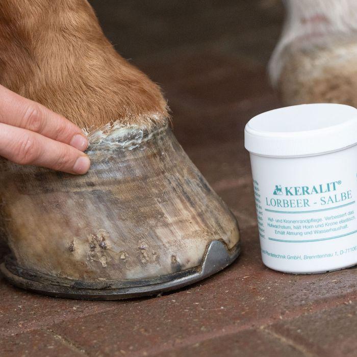 Keralit Horse Laurel Ointment for Hoof Health and Growth 20% Pure Laurel