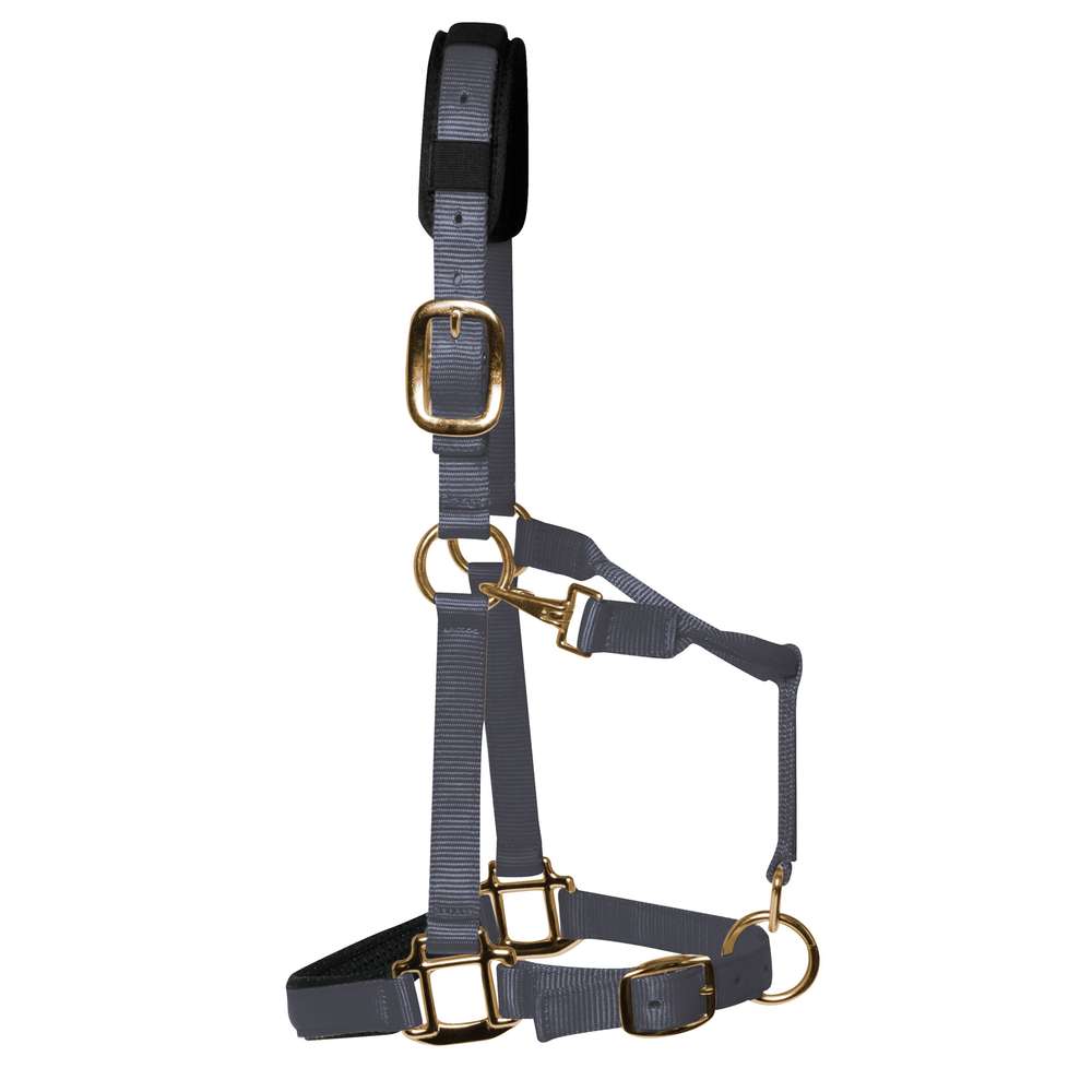 KM Elite Padded Headcollar #colour_grey
