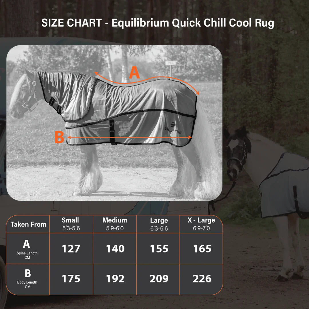Equilibrium Products Horse Quick Chill Cool Rug With Detachable Neck Cooling