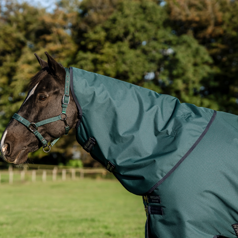 Horseware Ireland Amigo Ripstop 900D Plus 100g Pony Turnout Rug #colour_dynasty-green-navy-silver