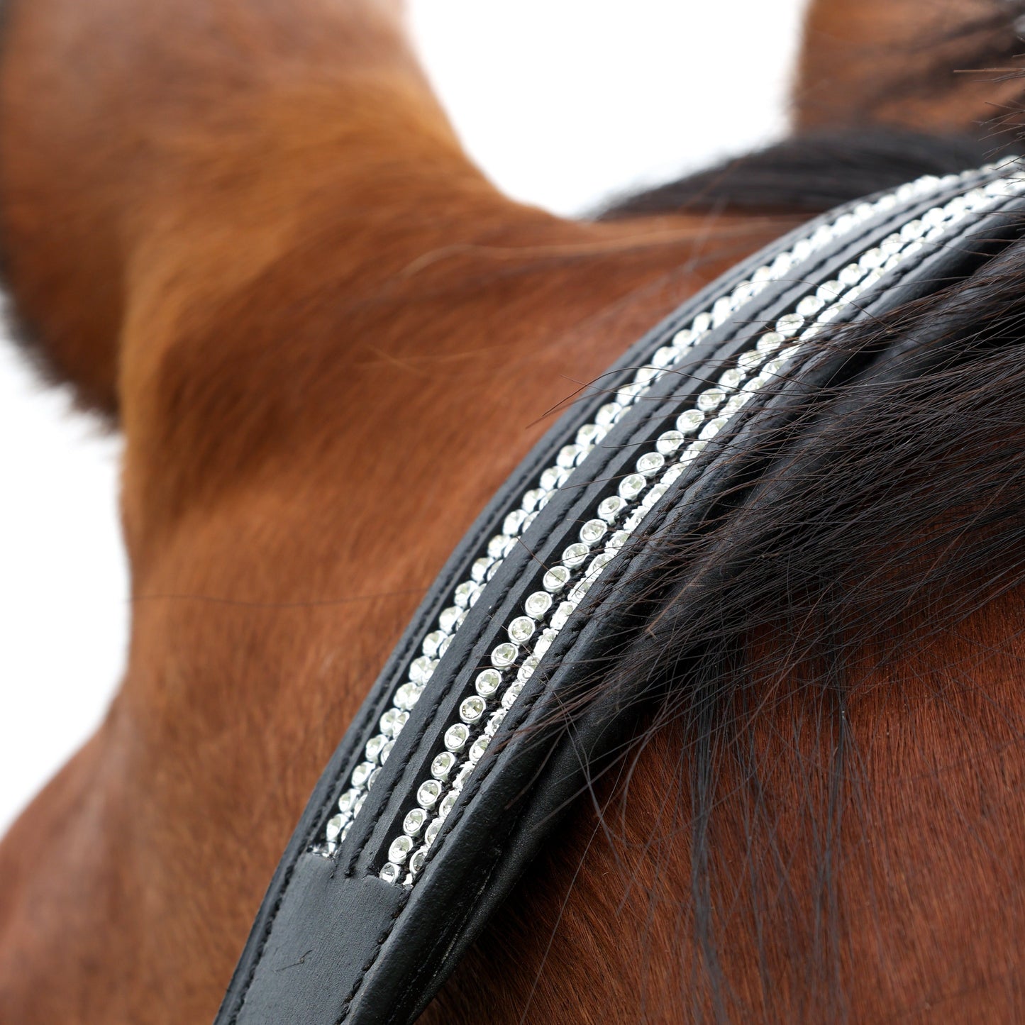 HY Horse Equestrian Anodize Leather Head Collar With Diamantes and Hardware
