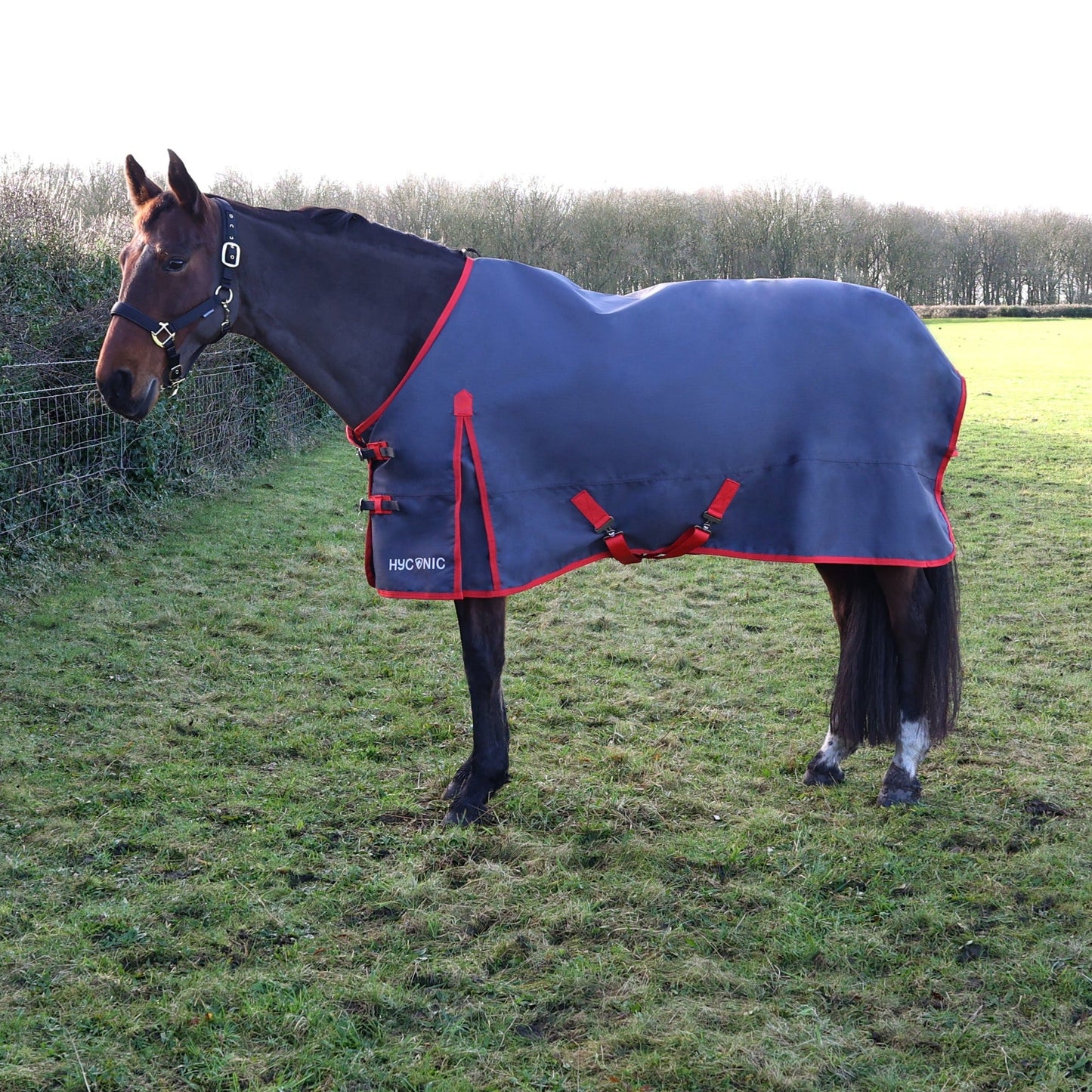 HY Horse HYCONIC 0g Turnout Rug Lightweight Waterproof 600 Denier Fill