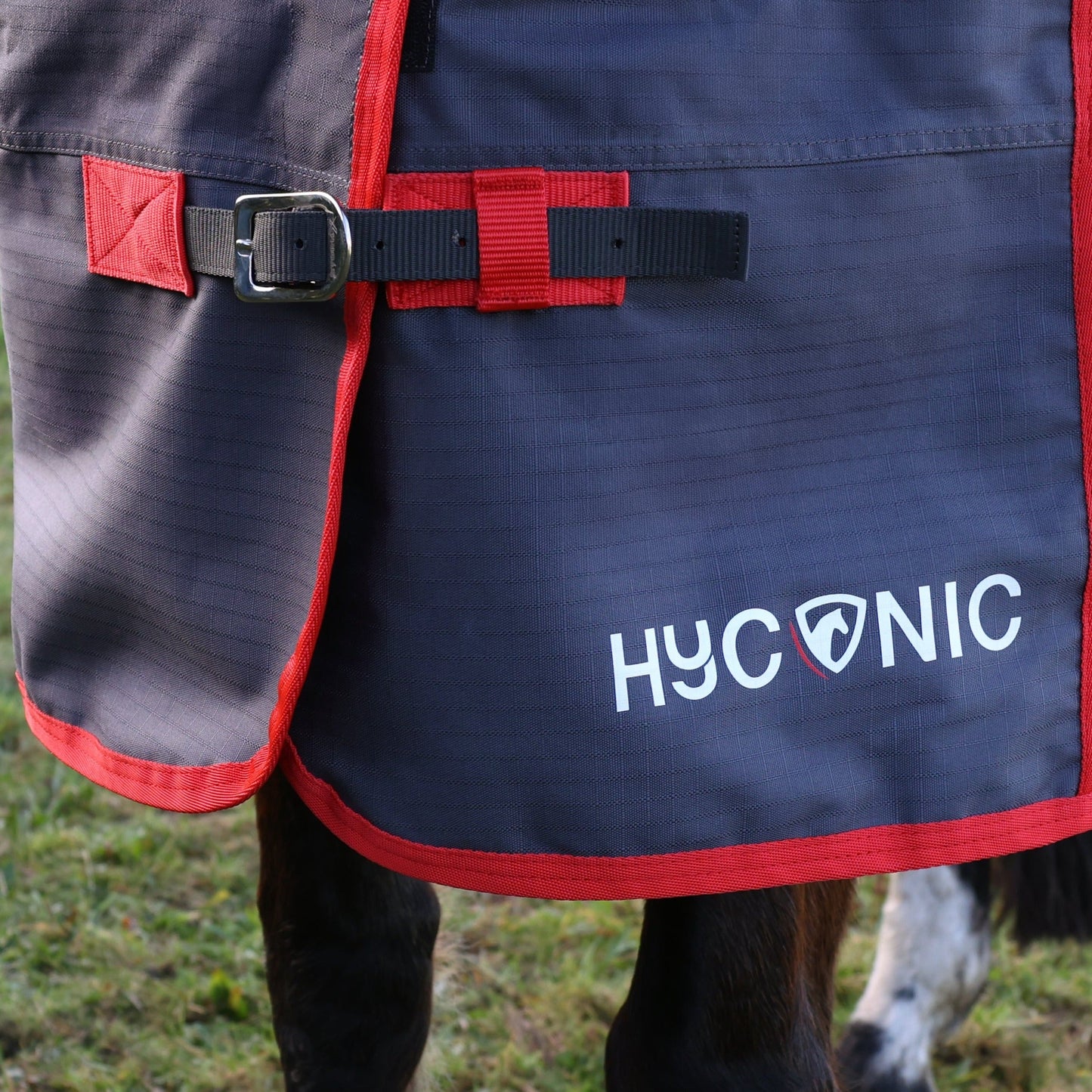 HY Horse HYCONIC 0g Turnout Rug Lightweight Waterproof 600 Denier Fill