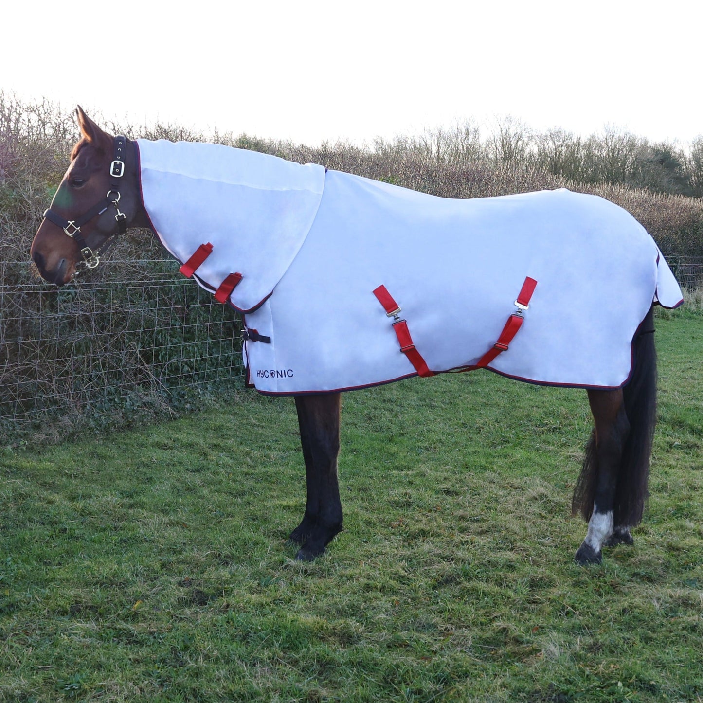 HY Horse HYCONIC Fly Rug with Detachable Neck Breathable Mesh Protection