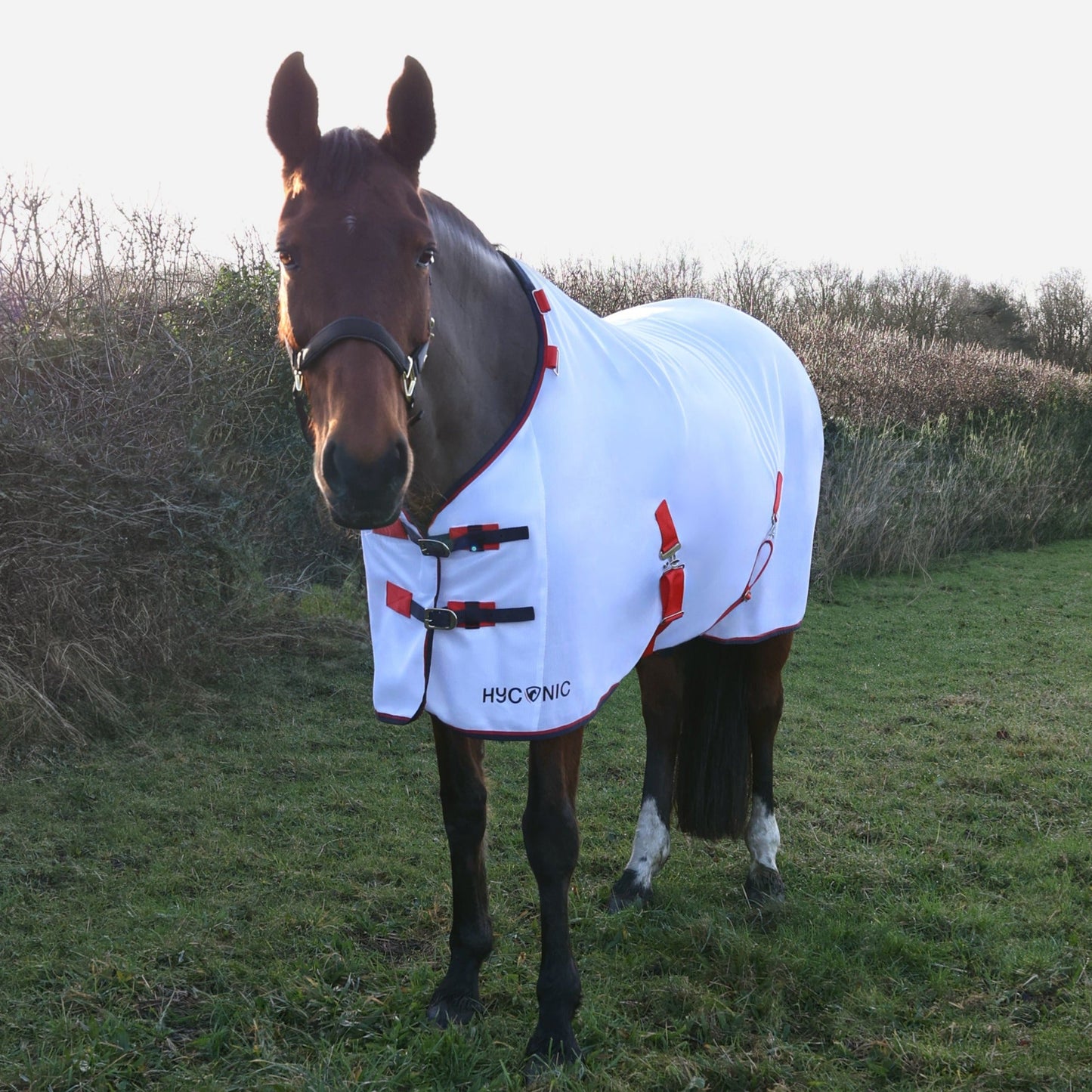 HY Horse HYCONIC Fly Rug with Detachable Neck Breathable Mesh Protection