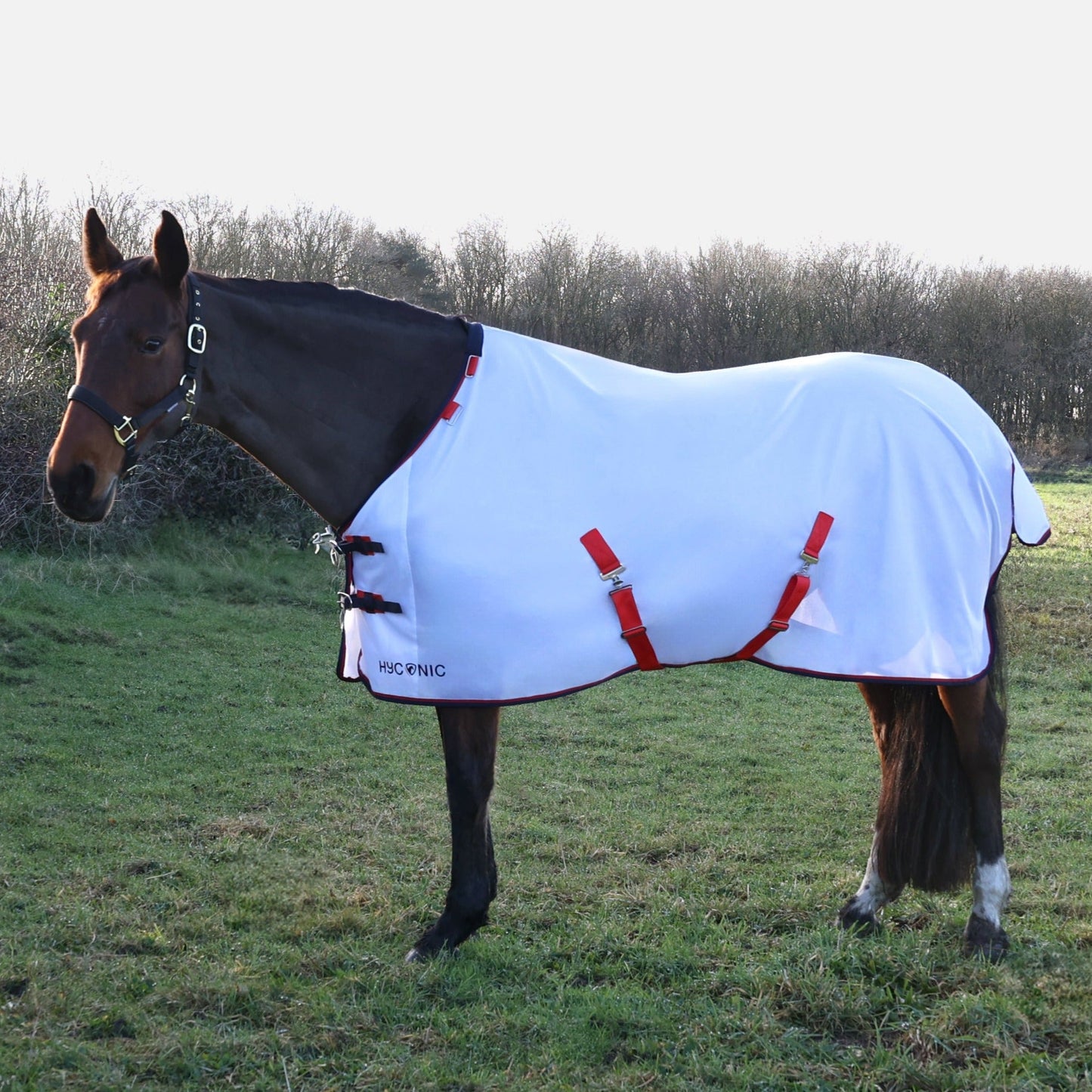 HY Horse HYCONIC Fly Rug with Detachable Neck Breathable Mesh Protection