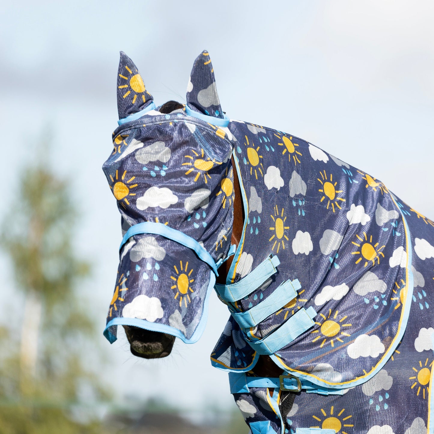 HY Horse Equestrian Come Rain Or Shine Fly Mask With Ears and Detachable Nose