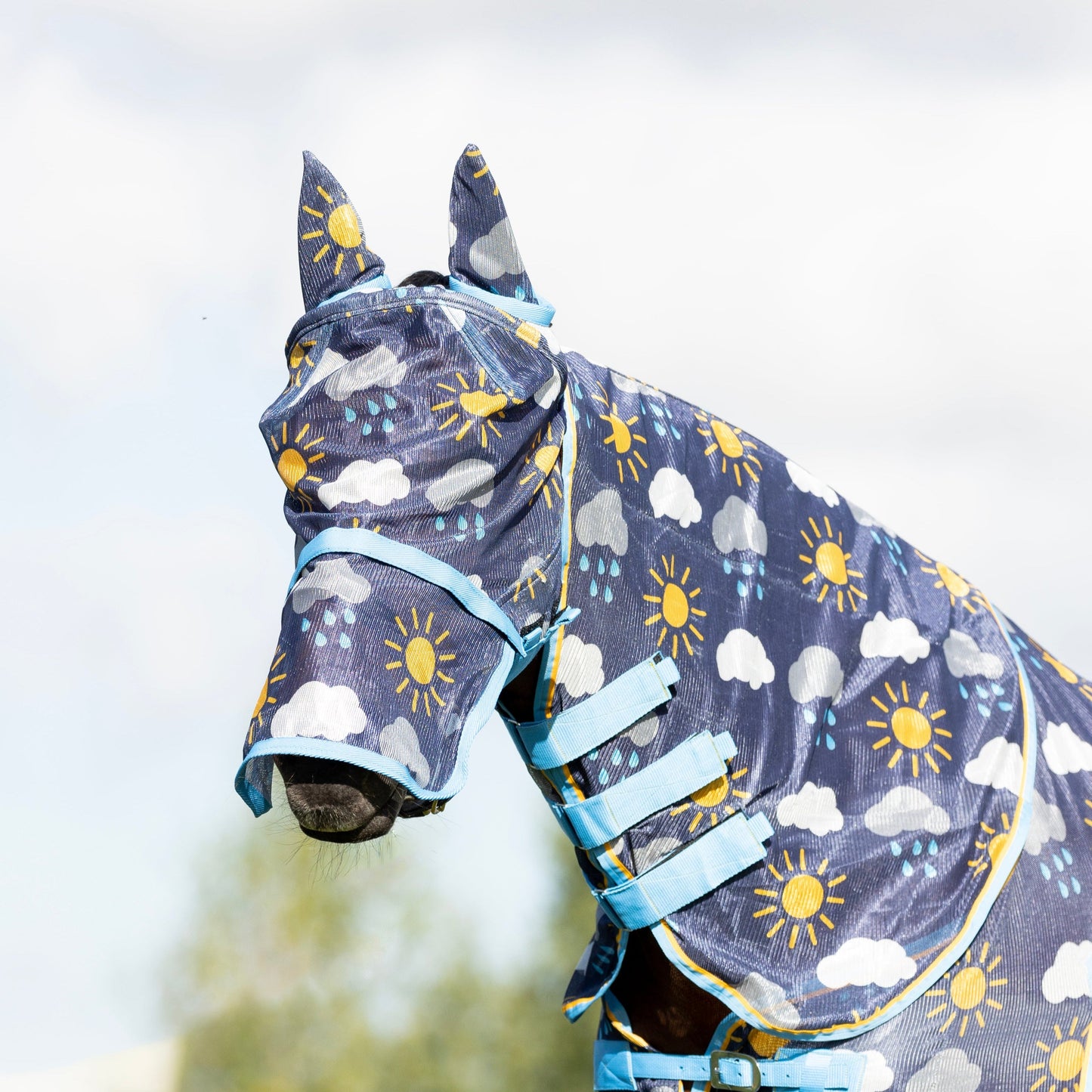 HY Horse Equestrian Come Rain Or Shine Fly Mask With Ears and Detachable Nose