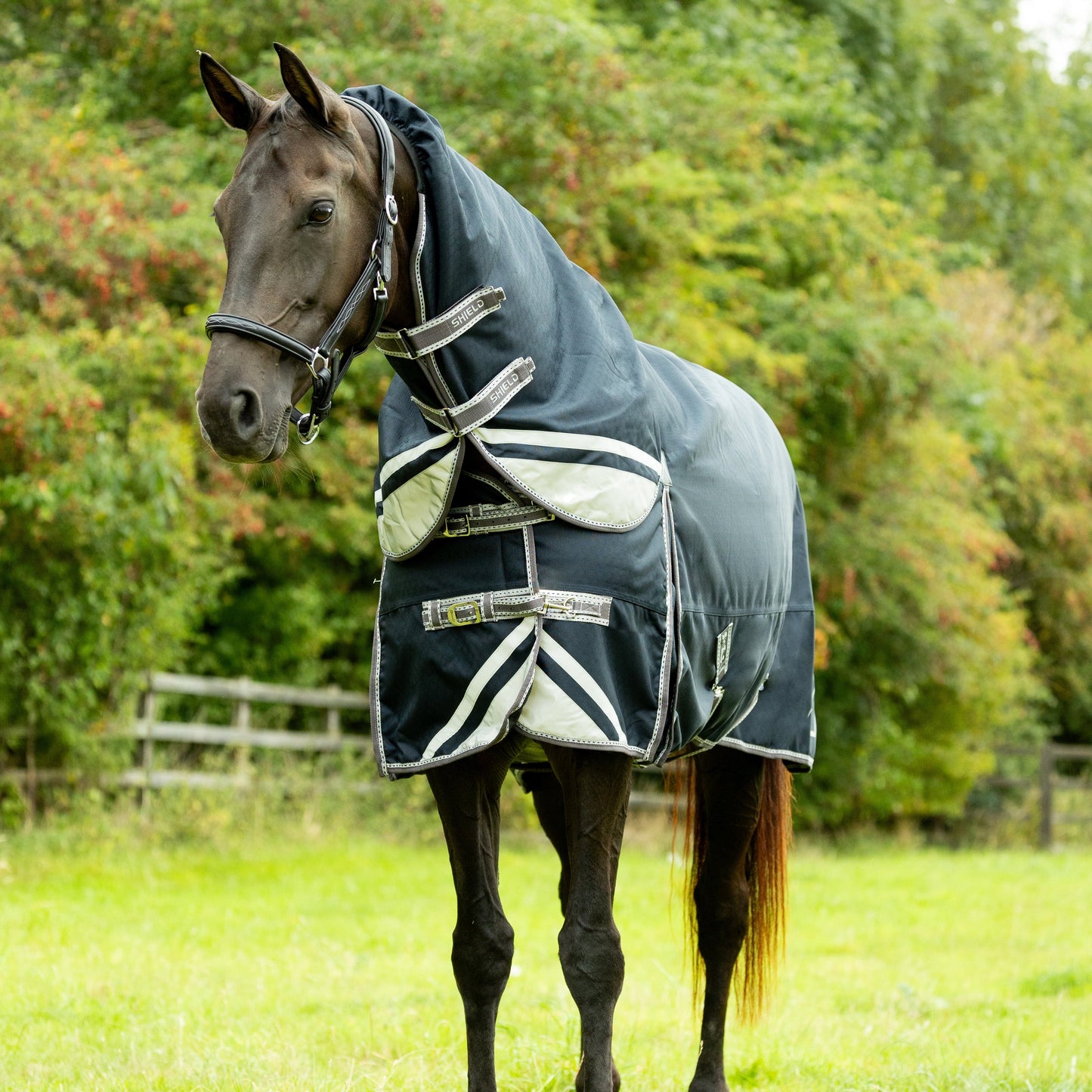 HY Horse DefenceX Shield 200g Turnout Rug With Detachable Neck Waterproof