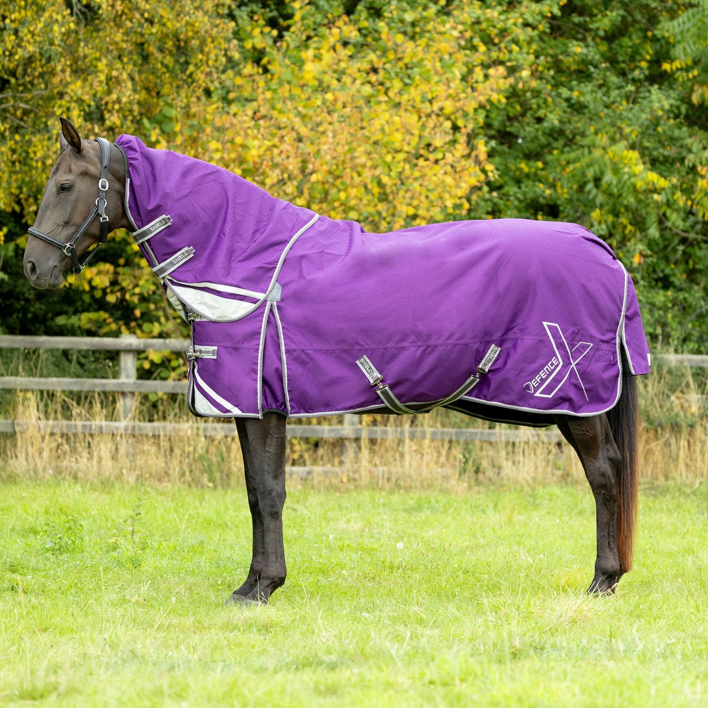 HY Horse DefenceX Shield 300g Turnout Rug With Detachable Neck Waterproof