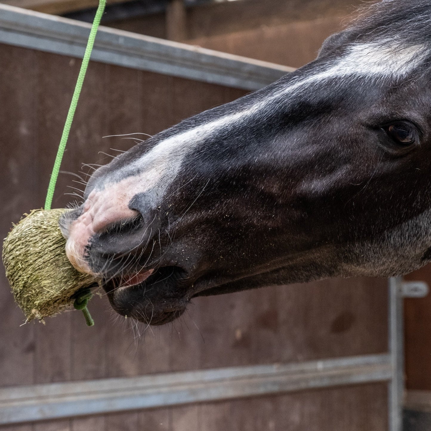 Silvermoor Swingers Bumper Pack High Fibre SlowRelease Horse Feed