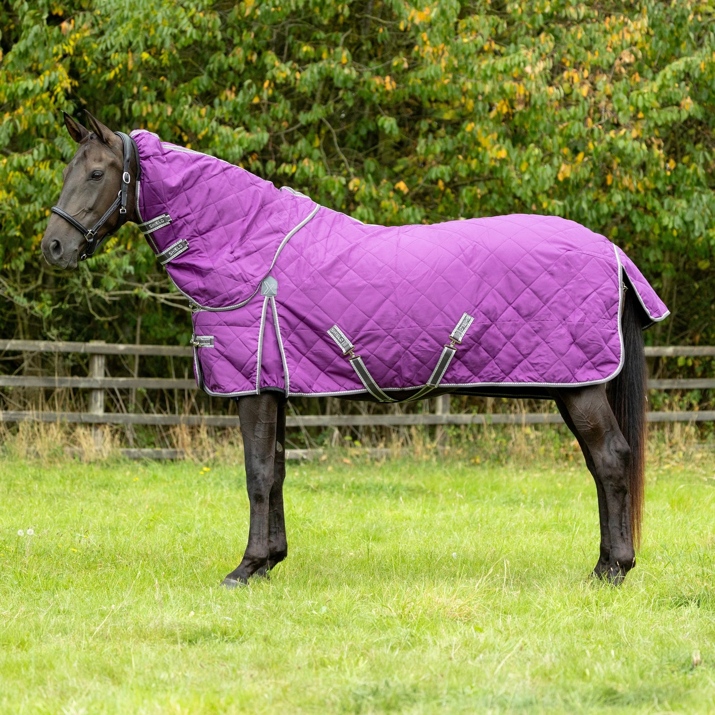 HY Horse DefenceX Shield 100g Stable Rug With Detachable Neck For Ultimate