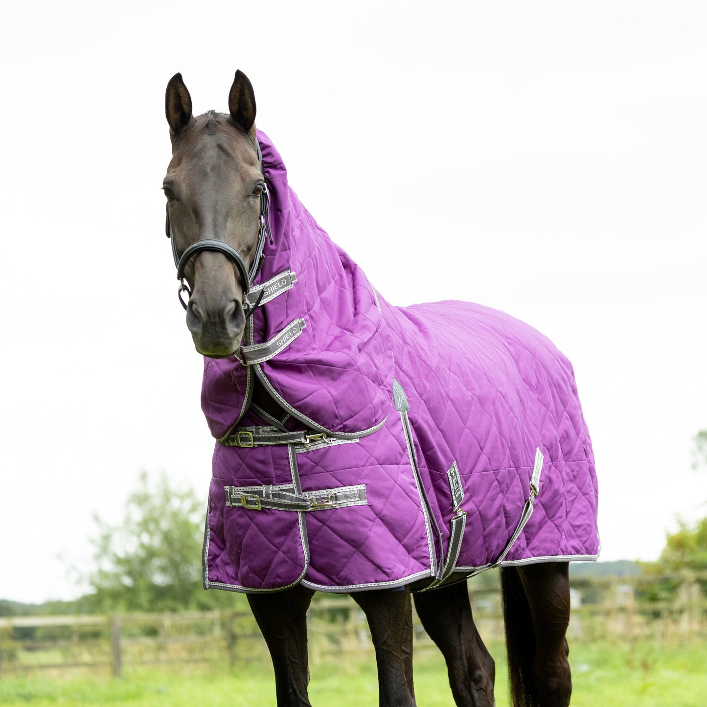 HY Horse DefenceX Shield 100g Stable Rug With Detachable Neck For Ultimate