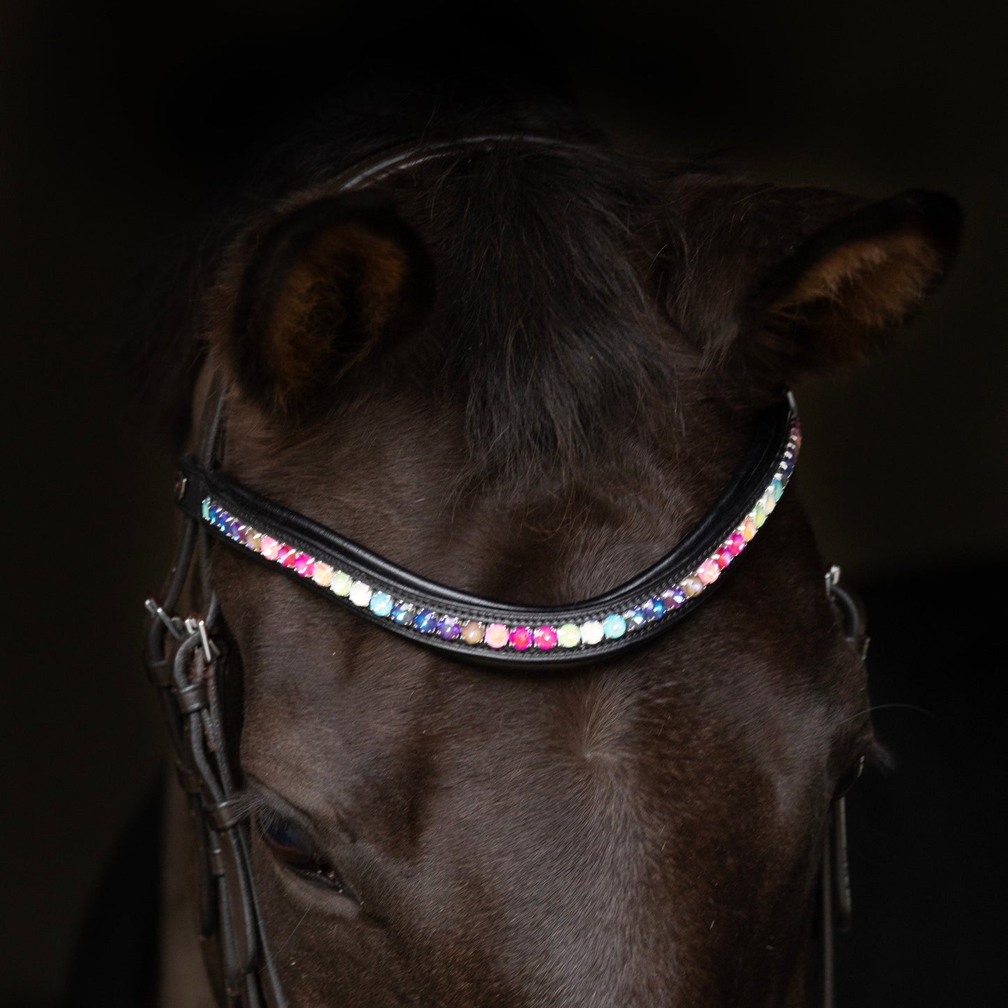 ProPresicce Signature Curved Diamante Browband by Hy Equestrian #colour_black-with-rainbow-diamantes