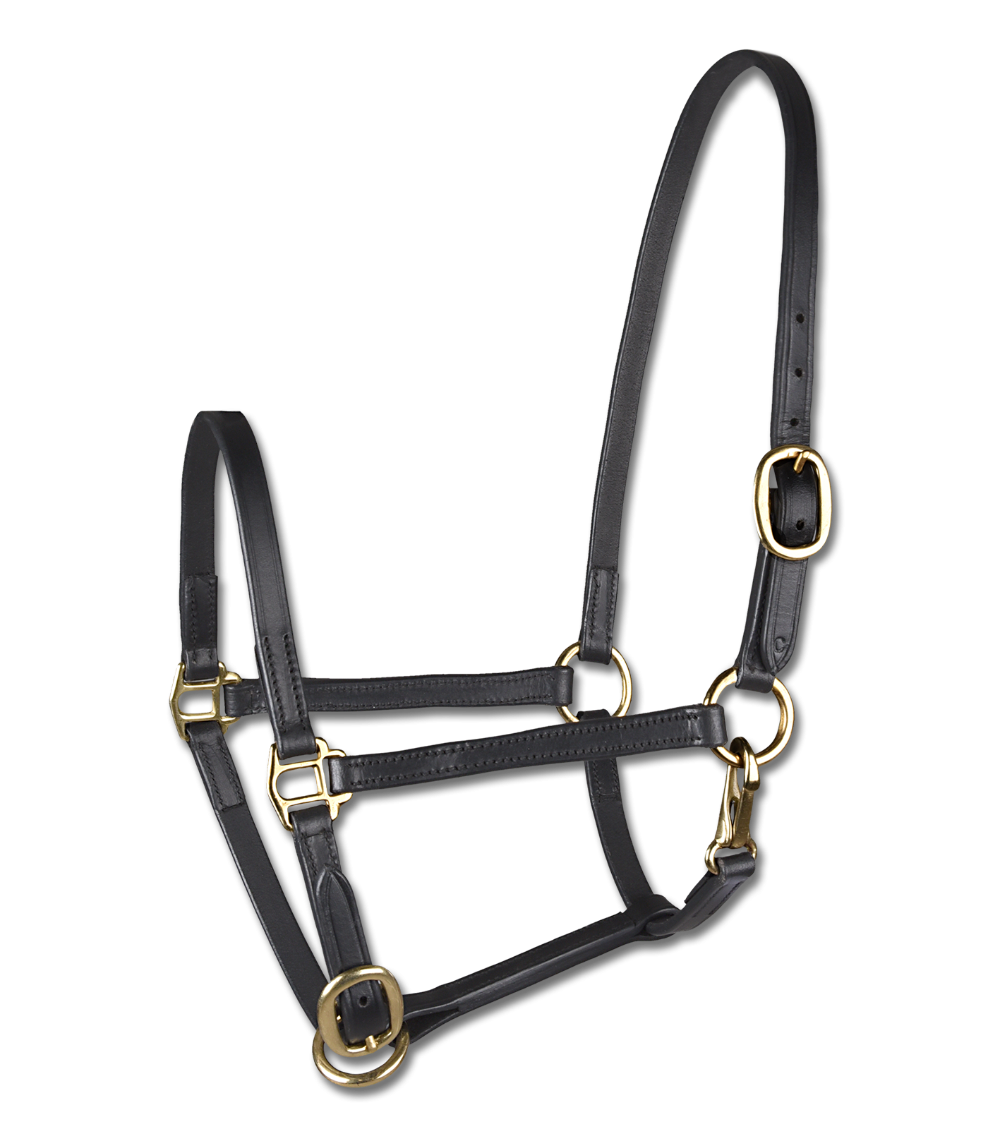 STAR Leather Foal Halter #colour_black