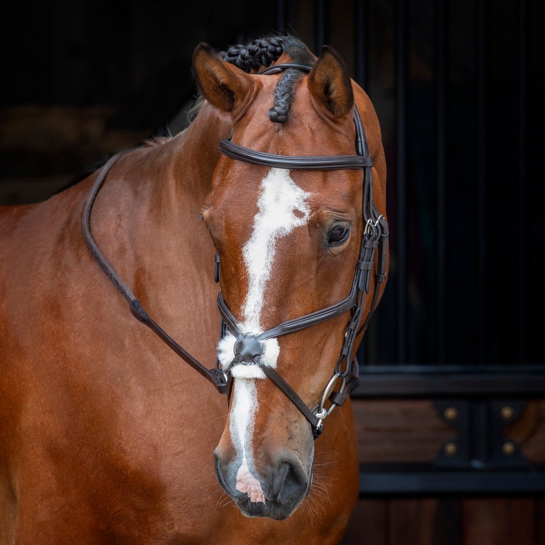 Shires Velociti RAPIDA Grackle Bridle #colour_havana