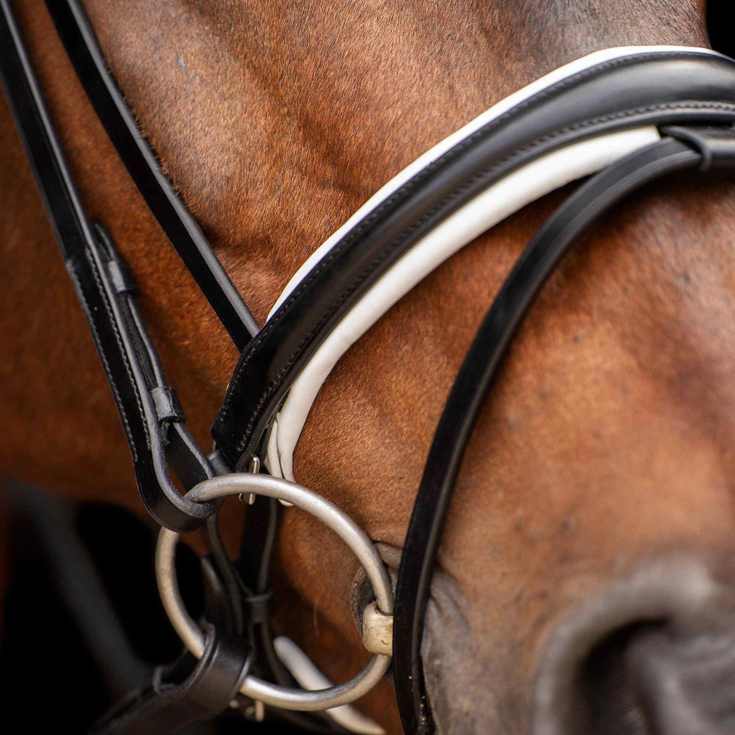 HV Polo Legacy Deluxe Bridle #colour_black-white