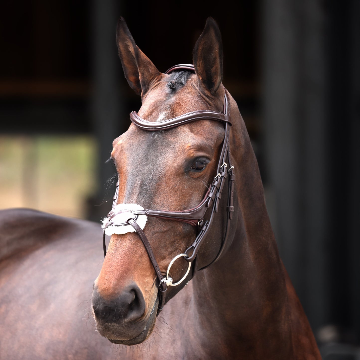 Shires Velociti Lusso Elite Grackle Bridle #colour_havana
