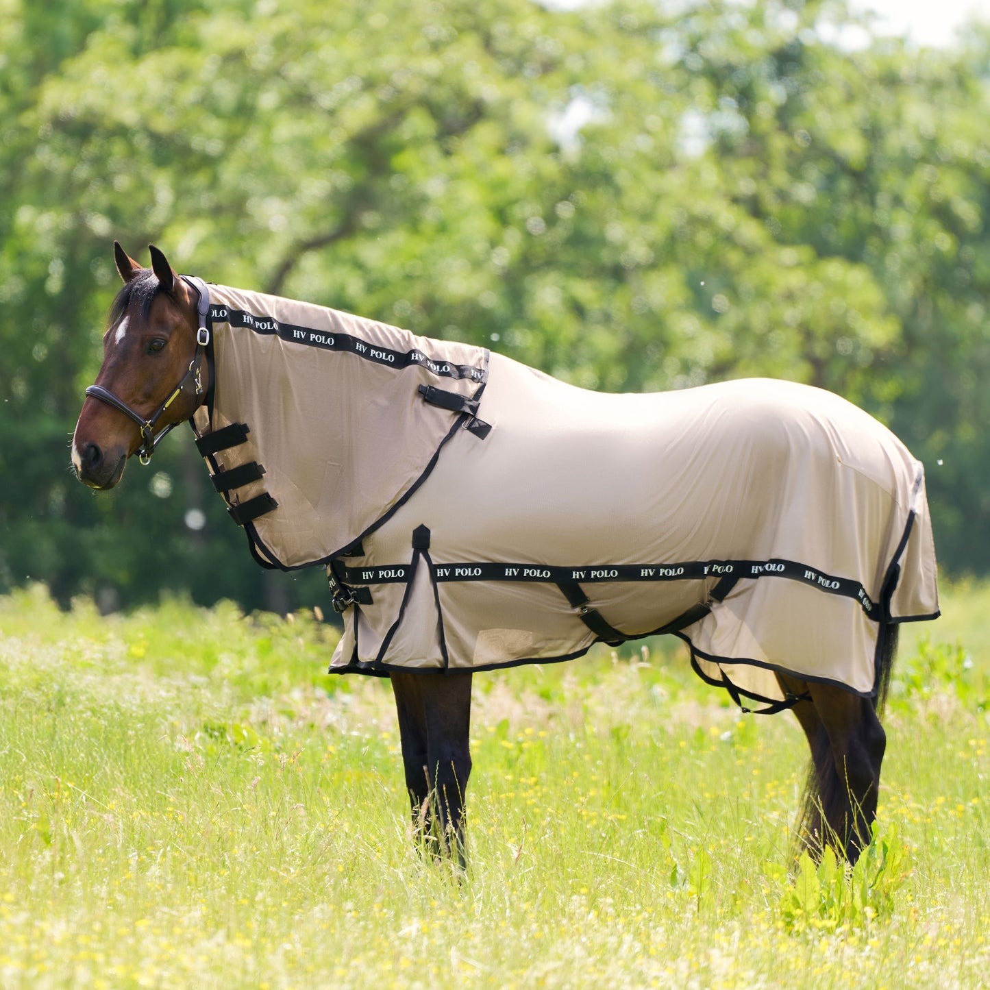 HV Polo Horse Nena Fly Blanket For Horses With Detachable Neck and Belly Flap