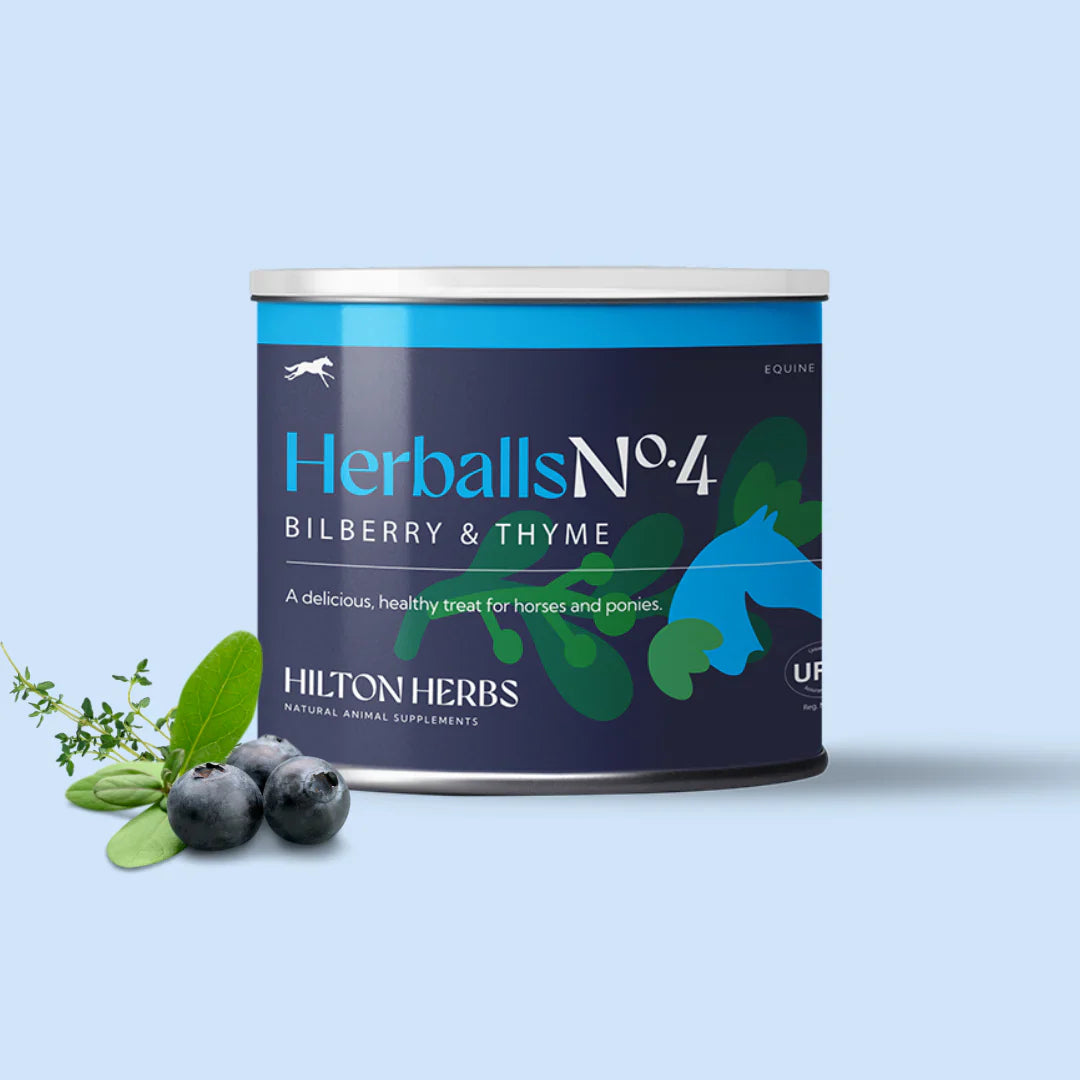 Hilton Herbs Herballs Natural Treats for Horses and Ponies, Low Sugar