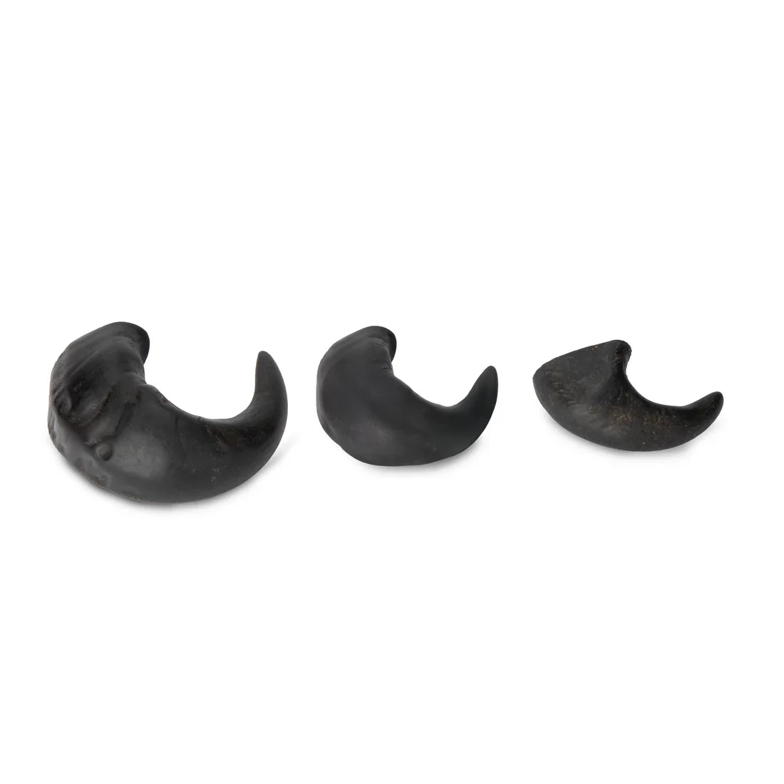 Shires Digby & Fox Buffalo Horns Natural Chew Treats for Dogs