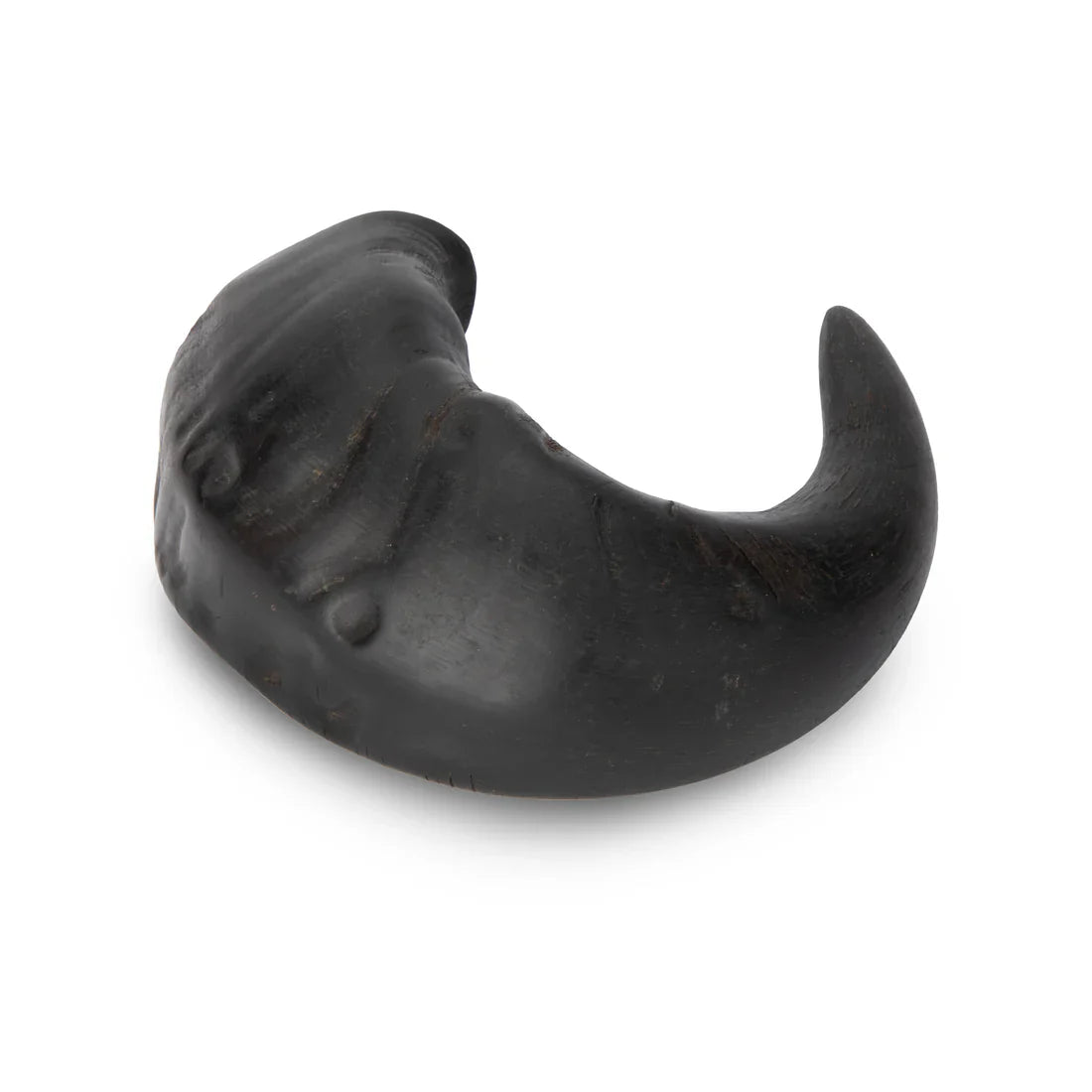 Shires Digby & Fox Buffalo Horns Natural Chew Treats for Dogs