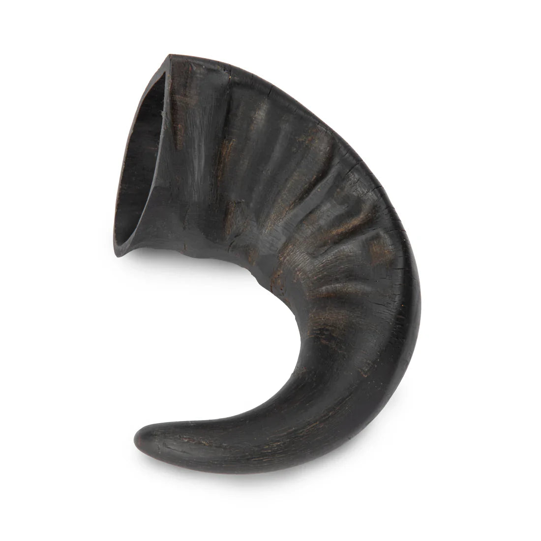 Shires Digby & Fox Buffalo Horns Natural Chew Treats for Dogs