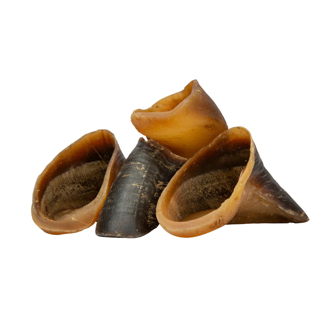 Shires Digby & Fox Buffalo Hoof Chew Treats for Dogs Dental Health