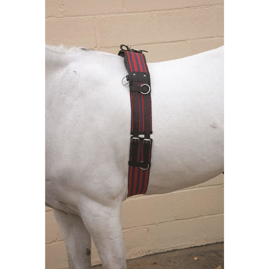 HY Horse Training Roller Adjustable Lunge Roller with D Rings