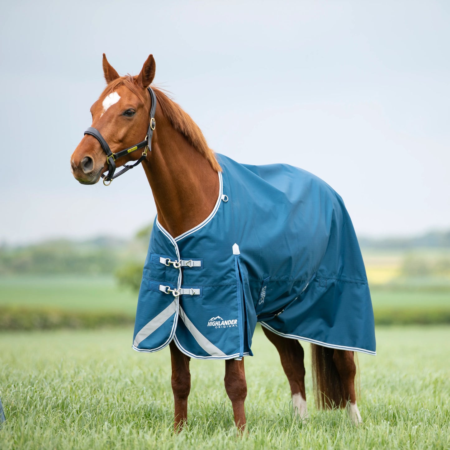 Shires Horse Highlander Original 50g Turnout Rug Waterproof Blanket
