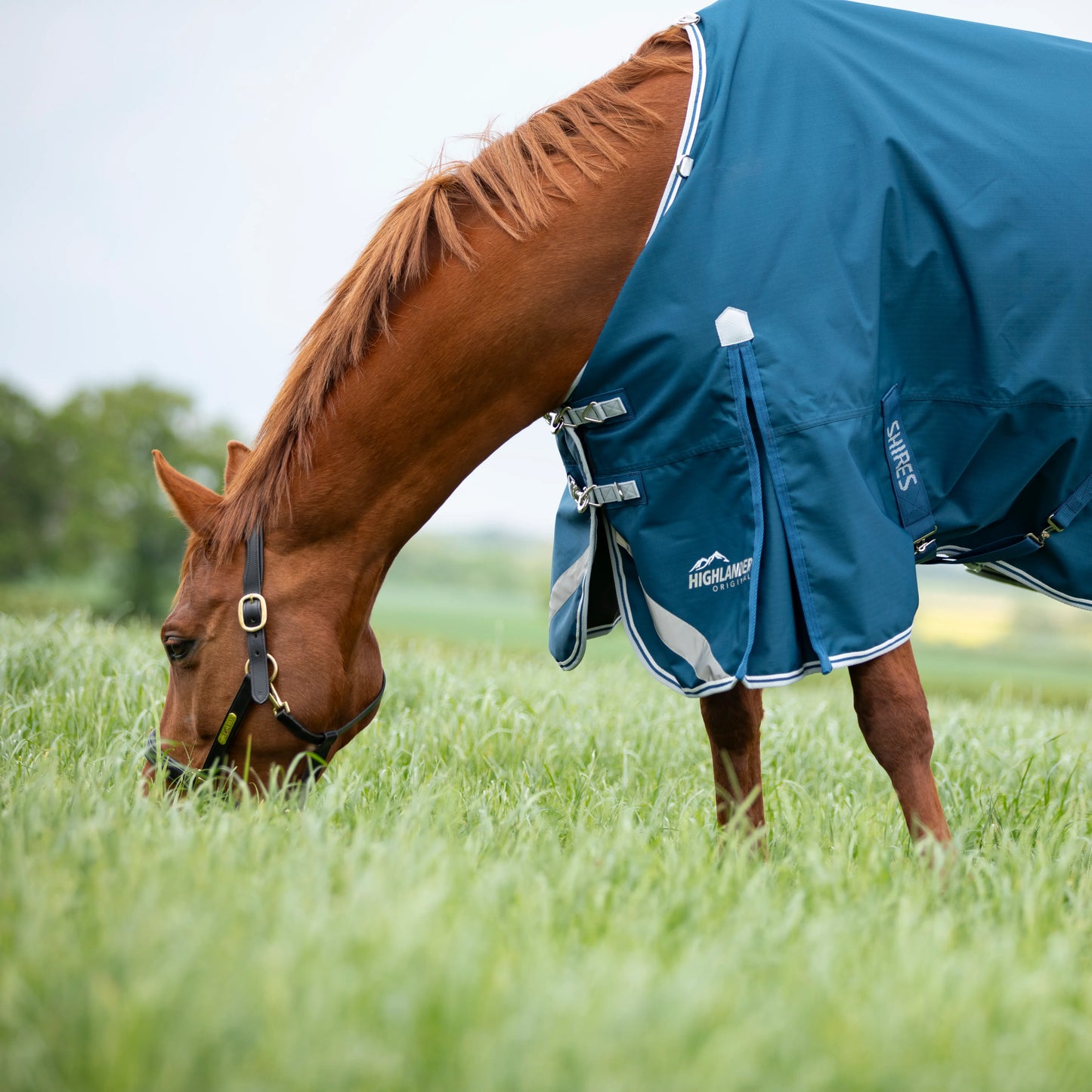 Shires Horse Highlander Original 50g Turnout Rug Waterproof Blanket