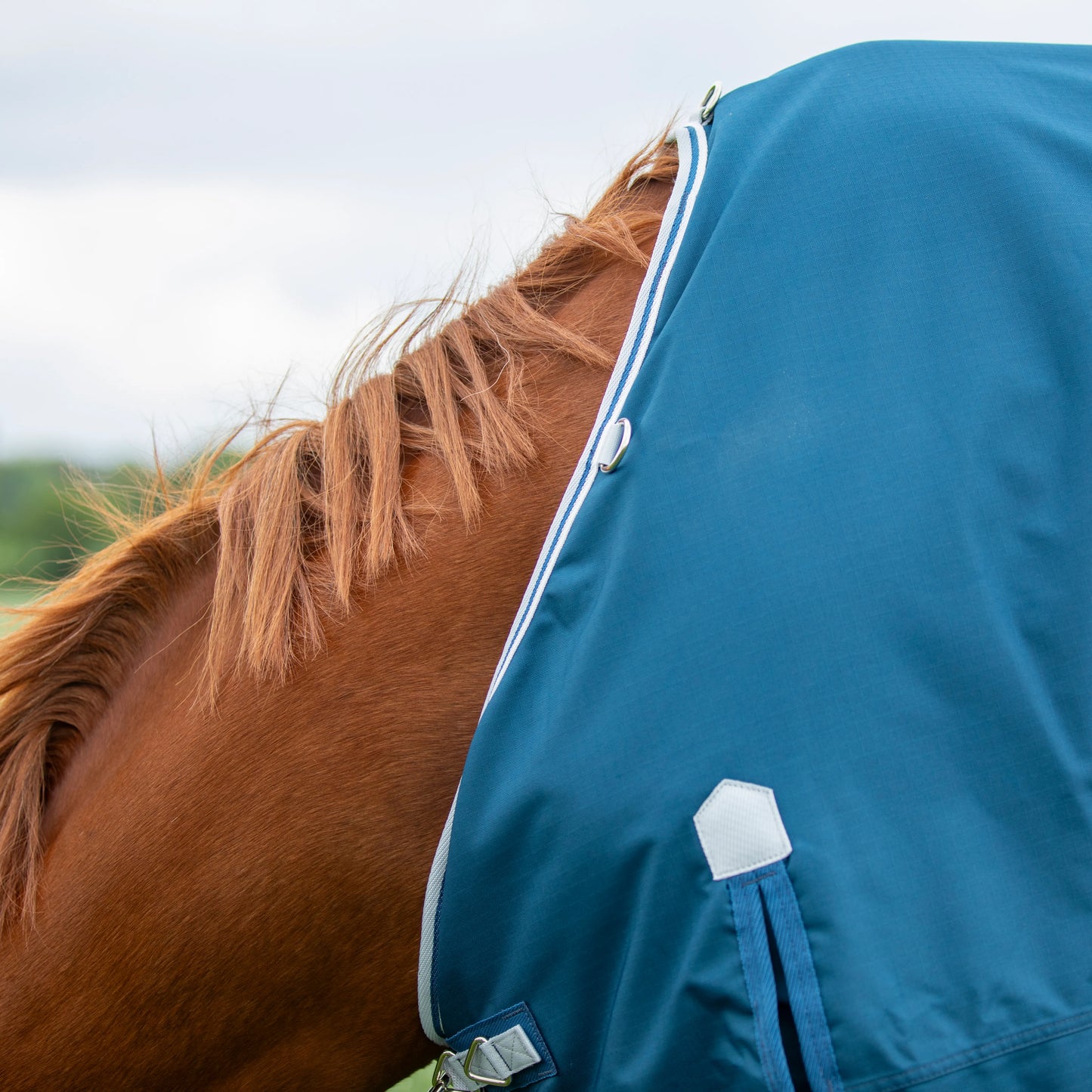 Shires Horse Highlander Original 50g Turnout Rug Waterproof Blanket