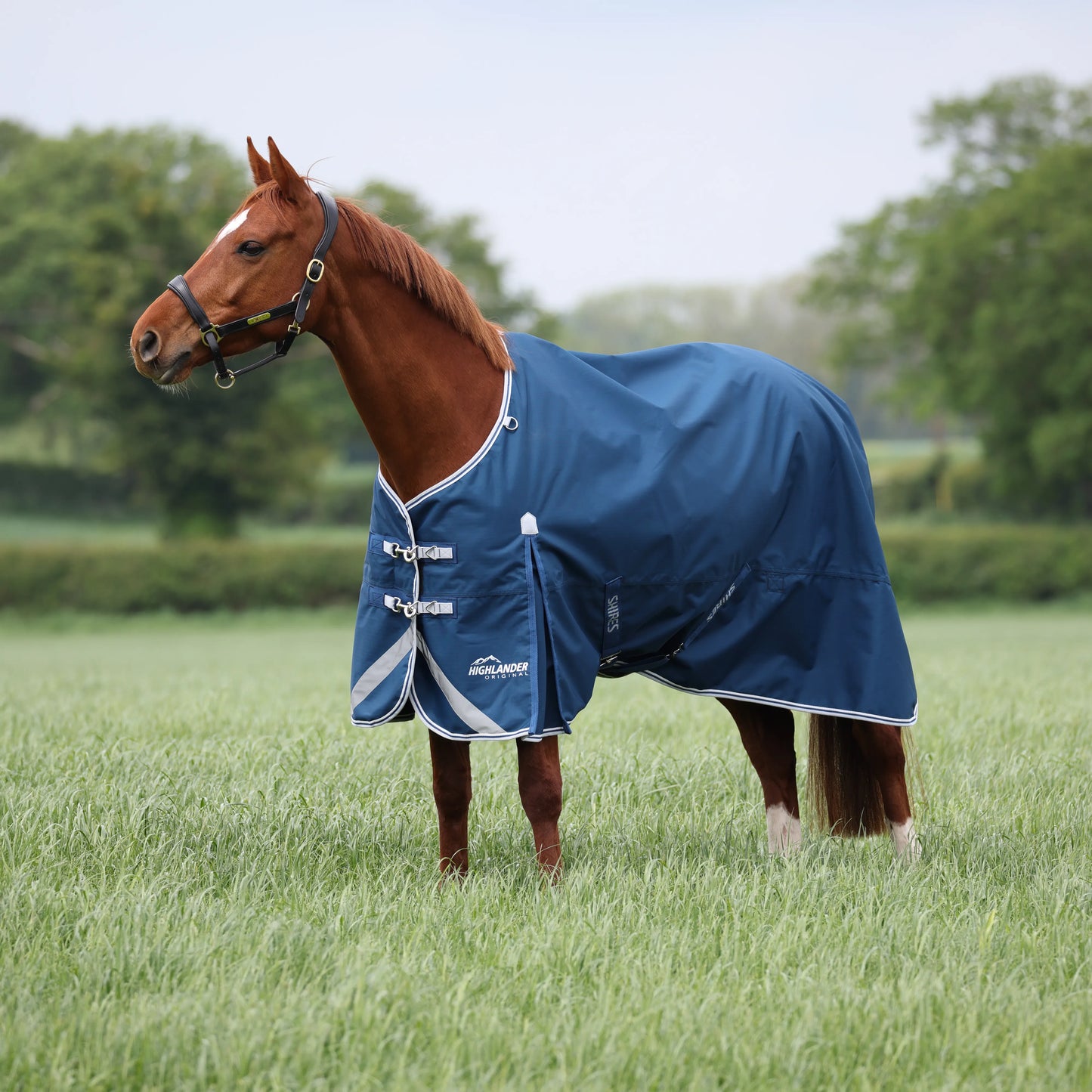 Shires Horse Highlander Original 50g Turnout Rug Waterproof Blanket