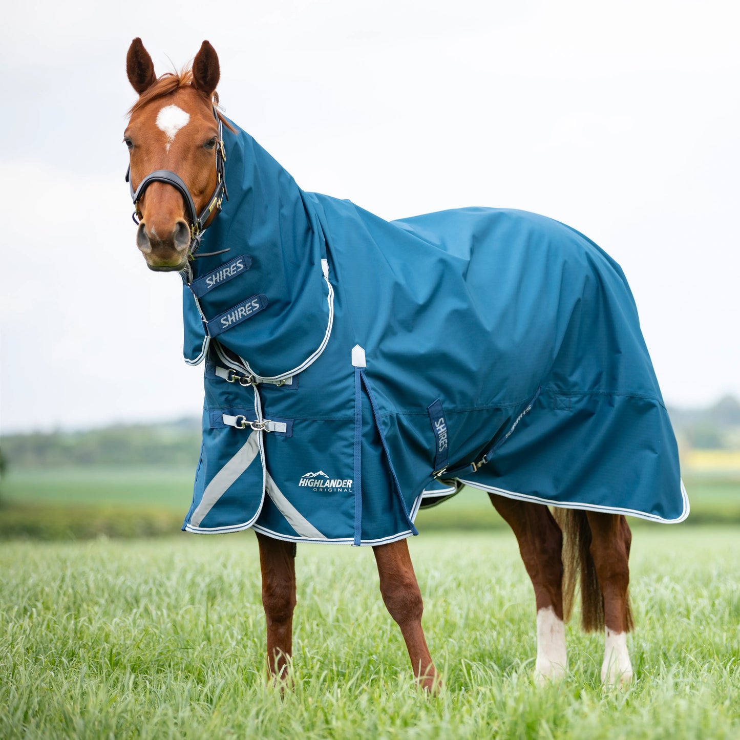 Shires Horse Highlander Original 5.0 Combo Turnout Rug Waterproof Blanket